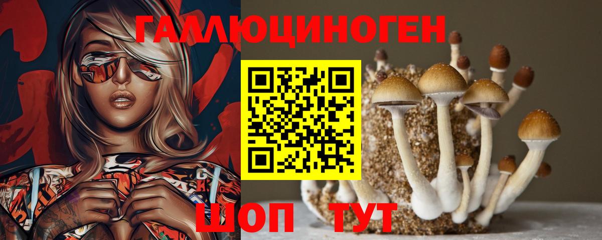 Псилоцибиновые грибы GOLDEN TEACHER  Вход с VPN  Нижний Новгород  Псилоцибиновые грибы GOLDEN TEACHER 