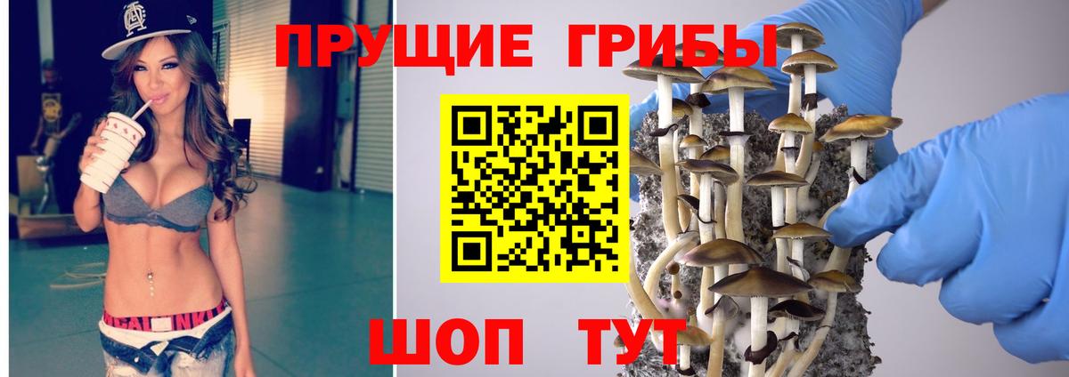 Псилоцибиновые грибы мухоморы Нижний Новгород